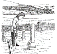 51.gif (21968 字節)