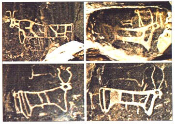 Calf Carvings