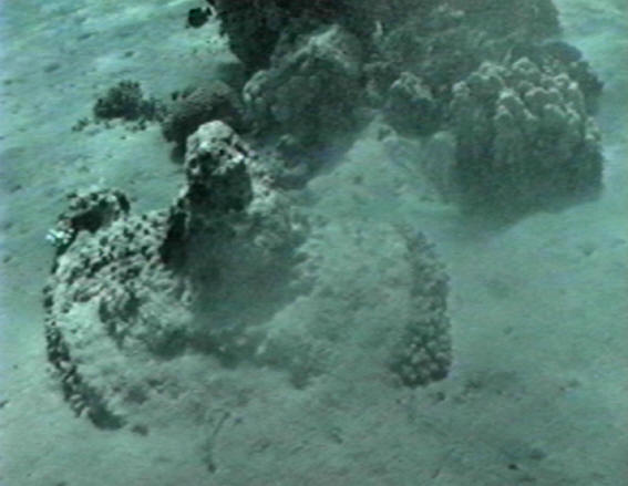 Chariot Axle