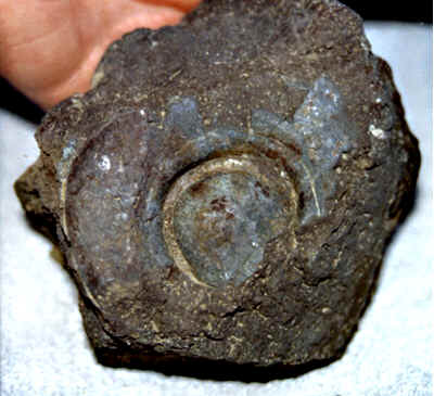 Anchor Stone 6